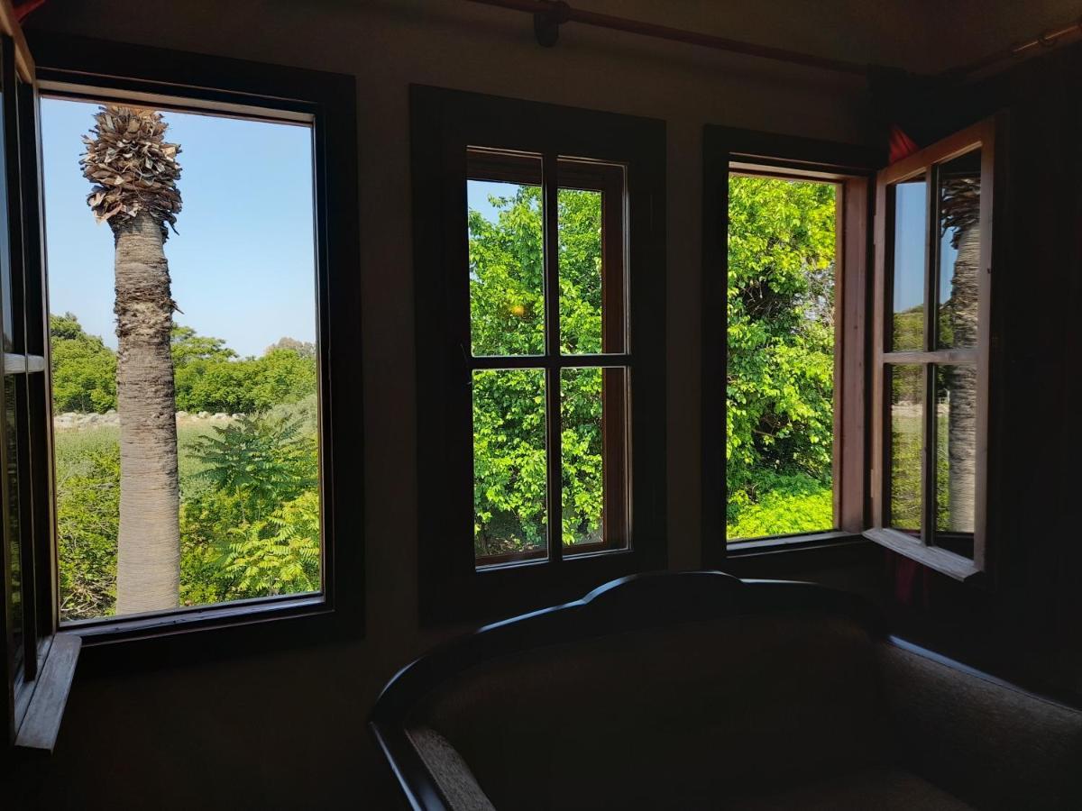셀주크 Casa Callinos B&B 외부 사진