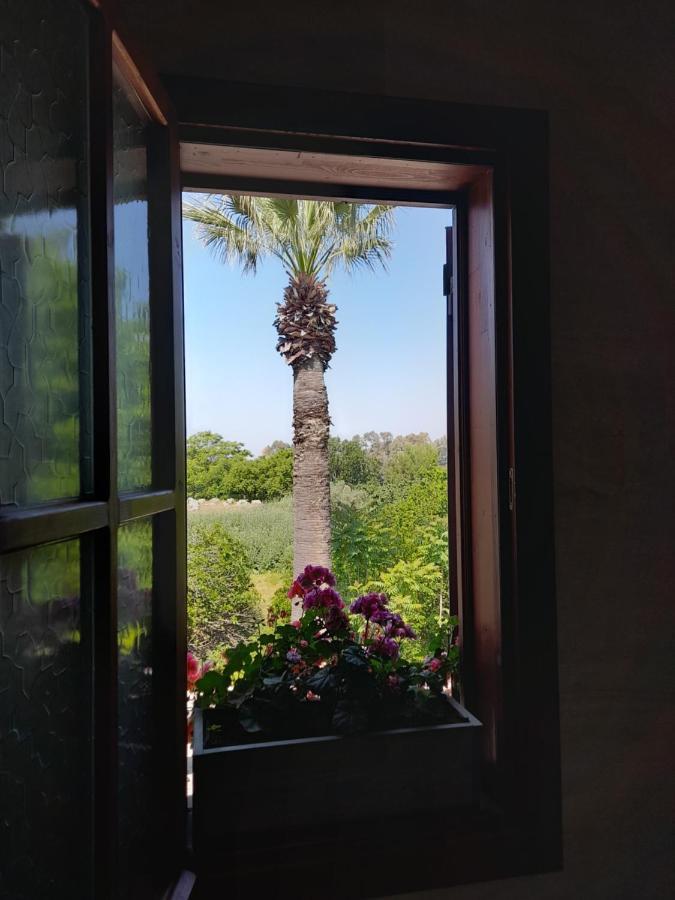 셀주크 Casa Callinos B&B 외부 사진