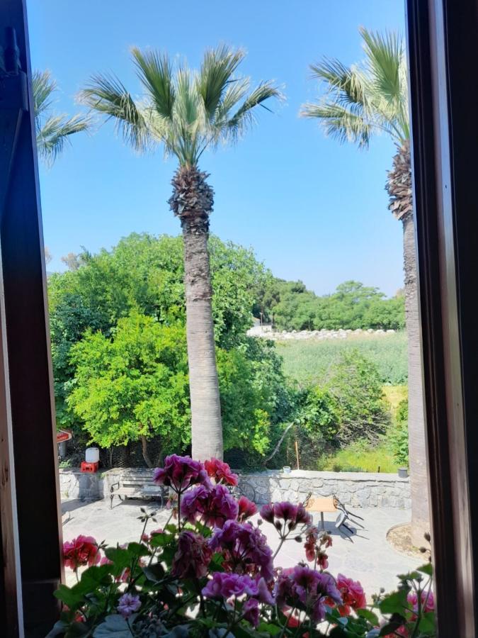 셀주크 Casa Callinos B&B 외부 사진